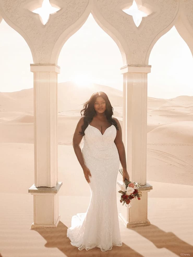 Disney Jasmine Dress