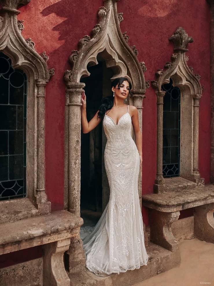 Disney Jasmine Dress