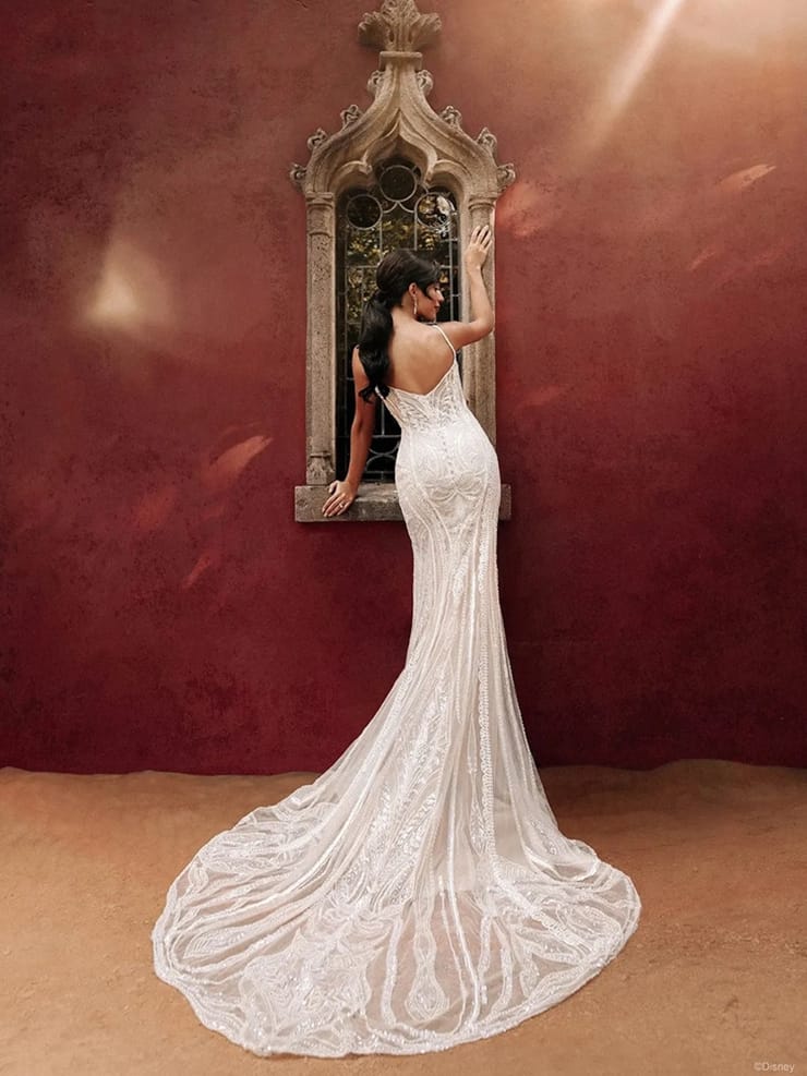 Disney Jasmine Dress