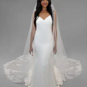 AVL0095 Veil