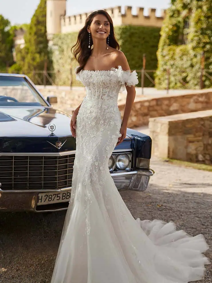 Adriana Alier Wedding Dress Didier